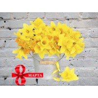Нарциссы в Металлическом Ведре
