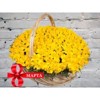 Нарциссы в Корзине
