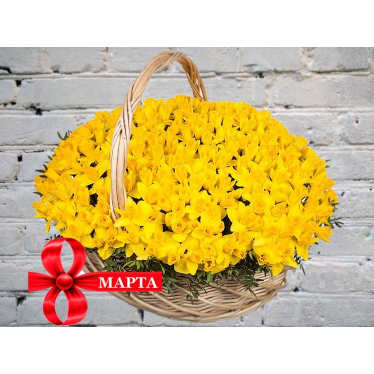 Sale Daffodils in the Basket
Sale Daffodils in the Basket