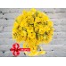 Sale Bouquet of Daffodils with Mimosa