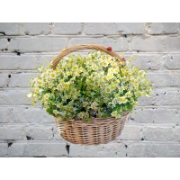 Корзина из 25 матрикарий
