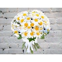Bouquet with Daisies in a white satin ribbon
