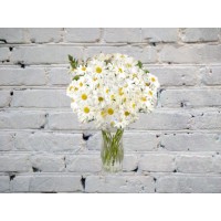 Букет из 51 ромашки
