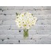 Sale Bouquet of 51 daisies