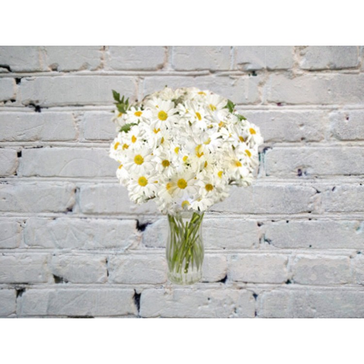 Букет из 51 ромашки

