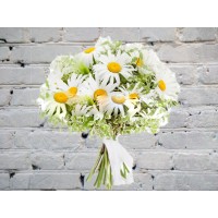Букет с Ромашками и Питтоспорумом

