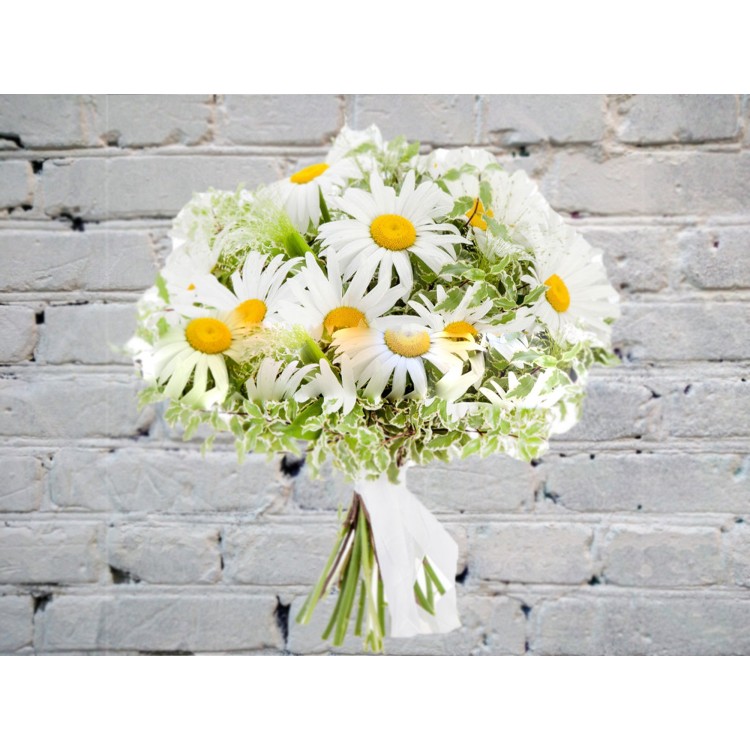 Букет с Ромашками и Питтоспорумом
