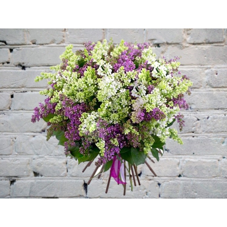 Букет из Белой и Сиреневой Сирени
