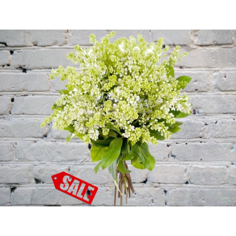 Букет Белой Сирени в Атласной Ленте
