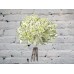 Sale Bouquet of white lilac