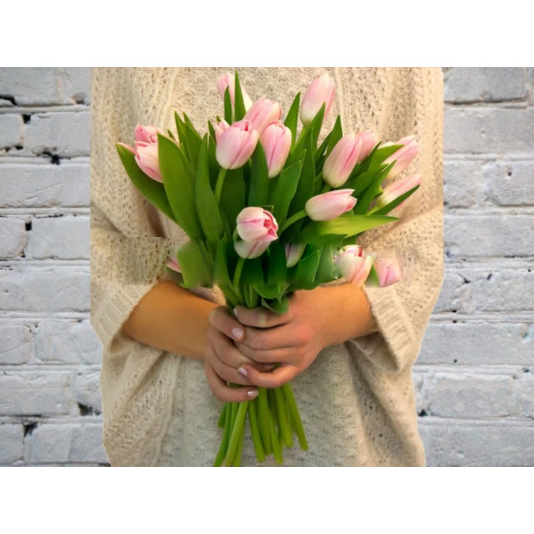 Букет из Нежно-Розовых Тюльпанов в Атласной Ленте
