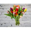 Букет из 19 ярких разноцветных тюльпанов
