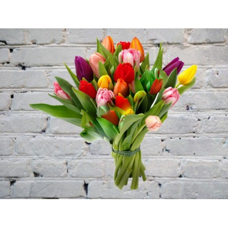 Букет из 19 ярких разноцветных тюльпанов
