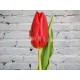 Тюльпан Красный (Голландия)