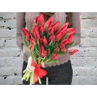 Bouquet of Red Tulips in a Red satin ribbon
