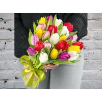 Bouquet of Mixed Tulips in a Satin ribbon
