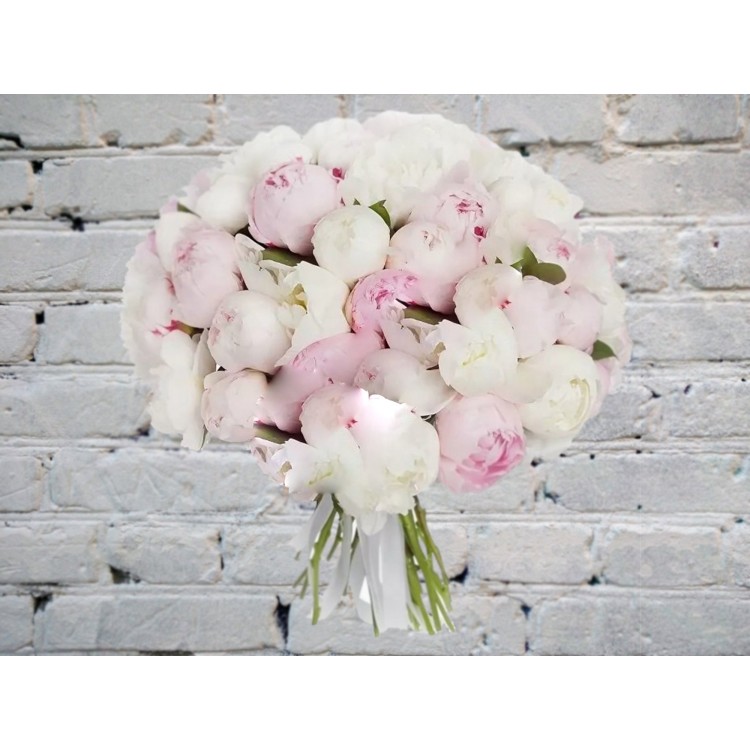 Букет Пионов из 51 Белого и Нежно-розового цветка
