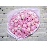 Букет Розовых Пионов №34
