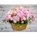 Sale Basket with Pink Peonies in the design