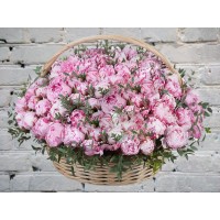 Корзина из 101 розового пиона
