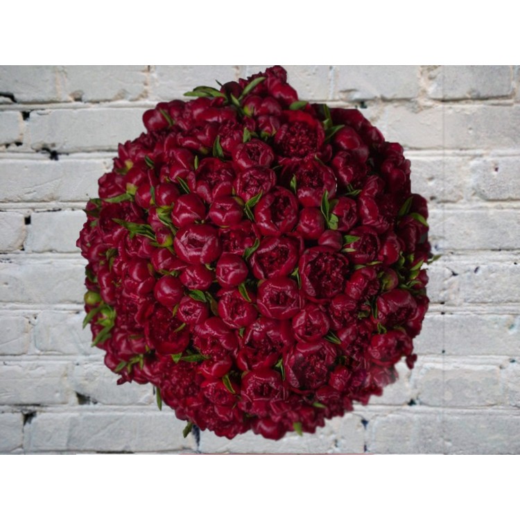 Букет Бордовых Пионов №15
