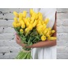 Букет из Желтого Тюльпана в атласной ленте
