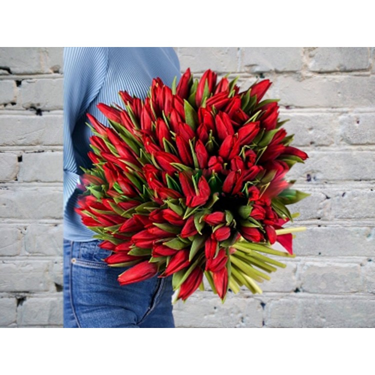 Sale Bouquet of 101 Red Tulips in a satin ribbon
