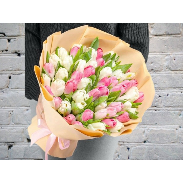 Sale Bouquet of 51 White and Pink Tulips in a Package
