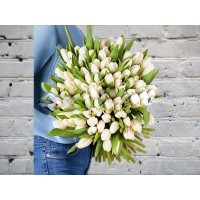 Букет из 101 Белого Тюльпана в атласной ленте
