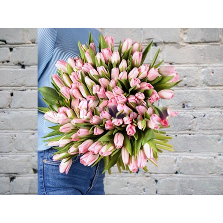 Букет из 101 Розового Тюльпана в атласной ленте
