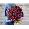 Bouquet of 101 Purple Tulips in a satin ribbon
