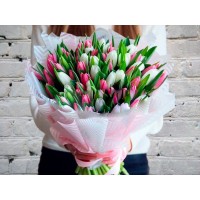 Bouquet of 101 White and Pink Tulips in a package
