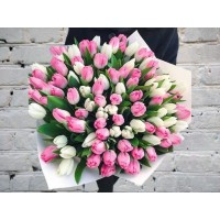 Букет из 101 Белого и Розового Тюльпана в Упаковке
