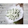Bouquet of 101 White Tulips in a White Package
