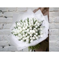 Bouquet of 101 White Tulips in a White Package
