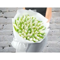 Букет из 101 Белого Тюльпана в Белой упаковке
