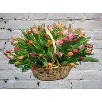 Basket with 69 colorful tulips in the basket
