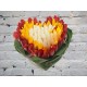 Composition of 109 heart-shaped tulips