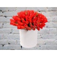 Красные Тюльпаны в Шляпной Коробке
