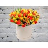 Multicolored Tulips in a Hatbox
