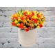 Разноцветные Тюльпаны в Шляпной Коробке