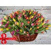 Корзина с Разноцветными Тюльпанами MIX
