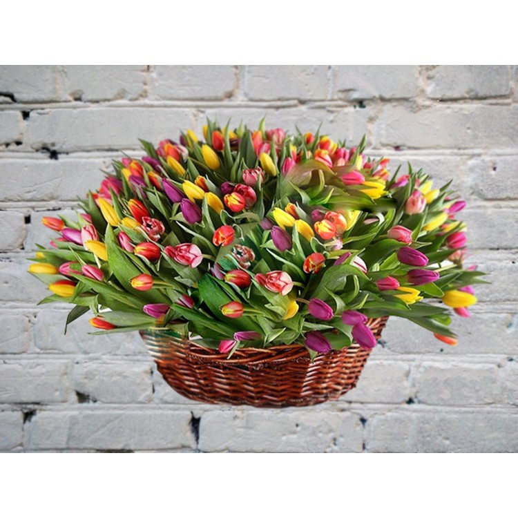 Sale Basket of Bright Tulips 201 pcs.
