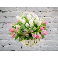 Корзина из светлых тюльпанов
