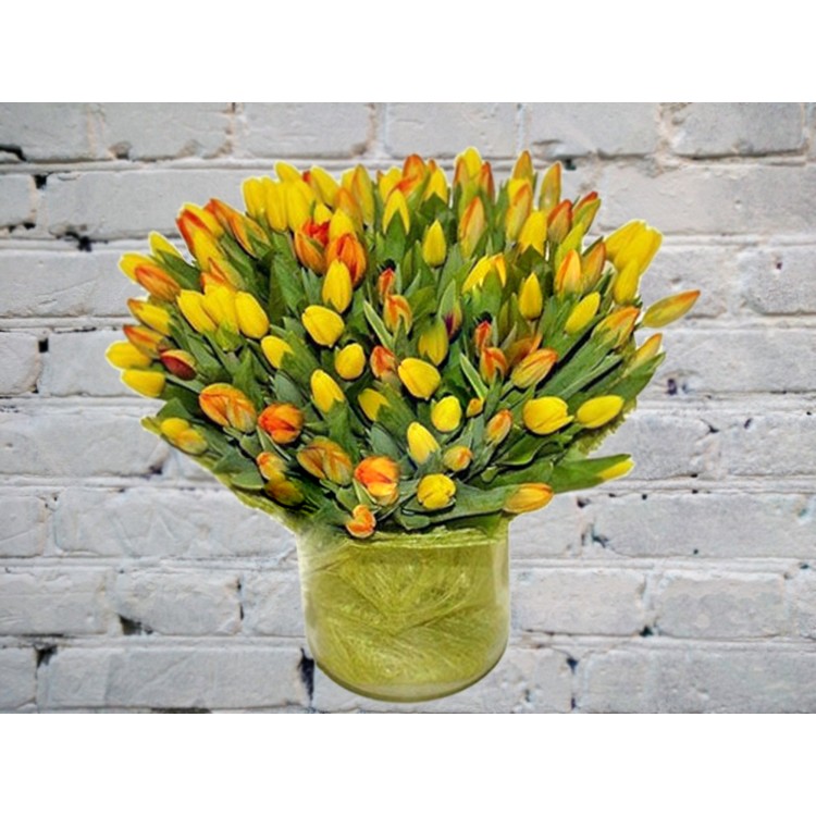 Sale Bouquet of 75 yellow tulips
