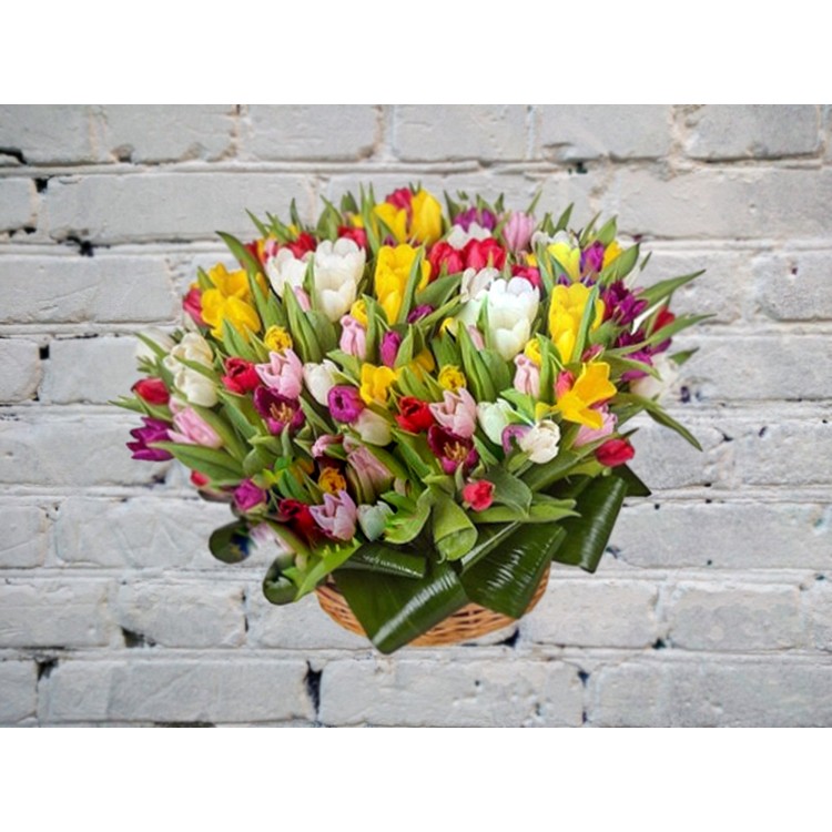 Sale Basket of yellow and pink tulips
