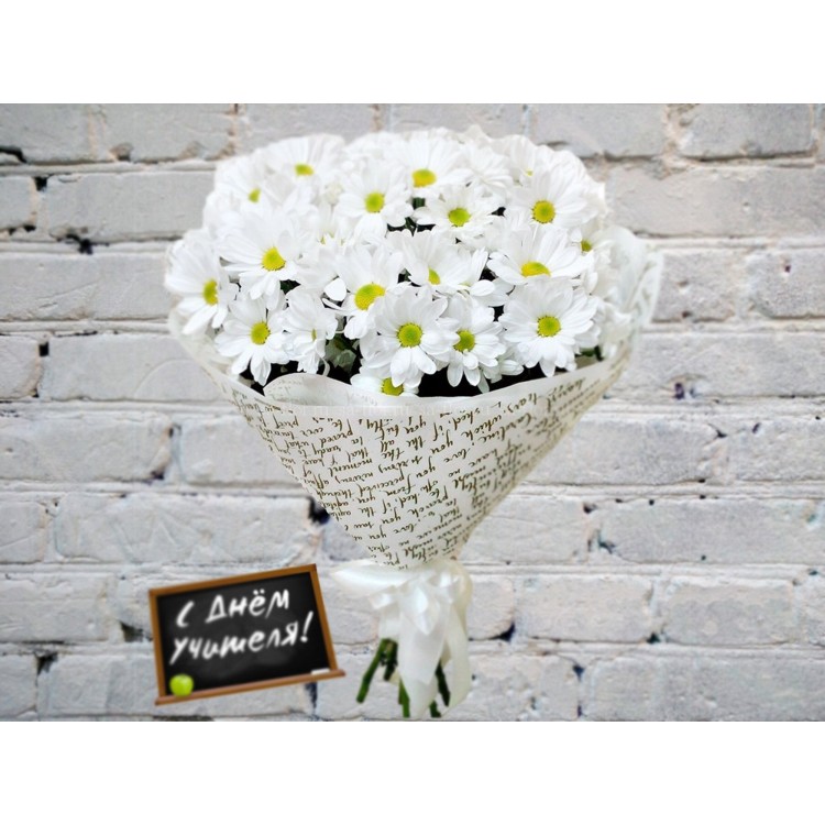 Sale Bouquet of 7 Bush Chrysanthemums in a package
