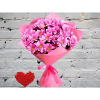 Pink Chamomile Chrysanthemums in a Bright Design
