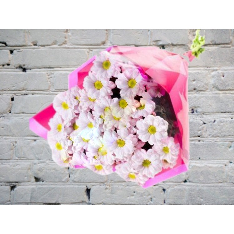 Sale Bouquet of Chamomile Chrysanthemums in a Package
