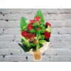 Bouquet of Orchids and Red Roses
